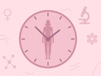 Labordiagnostik bei Frauenhormonen: Warum der richtige Zeitpunkt entscheidend ist